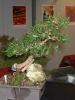 1333-DSCF0558